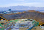 北京世園會組合盆栽國際競賽展示在京啟幕