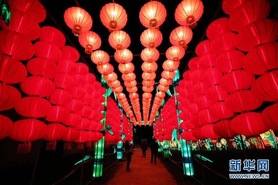 （国际）（3）中国彩灯点亮法国塞纳古堡