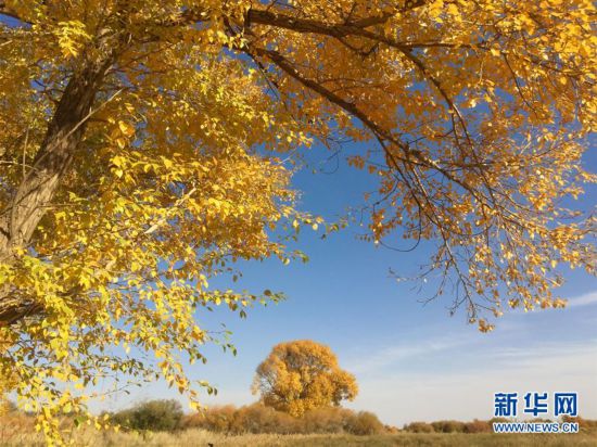 （美丽中国）（2）秋色斑斓耀“沙乡”